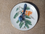 3 Коллекционных блюдца Певчие птицы. Ручная роспись Franklin Porcelain 1981 Англия, фото №3