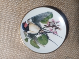 3 Коллекционных блюдца Певчие птицы. Ручная роспись Franklin Porcelain 1981 Англия, фото №5