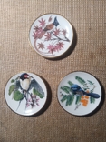 3 Коллекционных блюдца Певчие птицы. Ручная роспись Franklin Porcelain 1981 Англия, фото №2