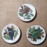 3 Коллекционных блюдца Певчие птицы. Ручная роспись Franklin Porcelain 1981 Англия, фото №2
