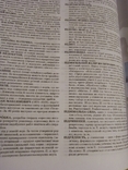 Large Encyclopedic Illustrated Dictionary, photo number 10