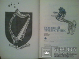 Співаючий трилисник. Збірник ірландського фольклору., фото №4