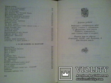 Співаючий трилисник. Збірник ірландського фольклору., фото №10