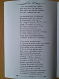 Сказка в стихах "Близнецы и золотой лун" автор А.И. Ханенко. (Можно с автографом автора)), photo number 7
