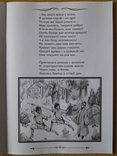 Сказка в стихах "Близнецы и золотой лун" автор А.И. Ханенко. (Можно с автографом автора)), numer zdjęcia 8