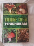 Народные советы грибникам 2008год, numer zdjęcia 2