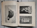 І. С. Нікітін. Повне зібрання творів. 1912., фото №5