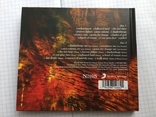 Два диска Paradise Lost - Draconian Times 25th Anniversary Edition (2CD) Sony music 2020 №, photo number 13