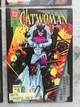 The entire Catwoman comic book series, photo number 6