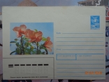 89-110. Envelope of the KhMK USSR. Mountain flowers (20.02.1989), photo number 2