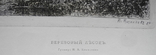 Космаков И. А. Гравюра Березовый лесок 1889 г., фото №5