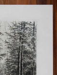 Космаков И. А. Гравюра Березовый лесок 1889 г., фото №7