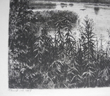 И. И. Шишкин, офорт. На реке, после дождя 1887г. гравюра., фото №7