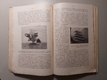 Н.А.Ульянов.Человек-Птица.1911 год., фото №7