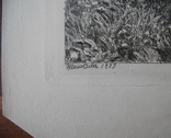 И. И. Шишкин, офорт Дубы 1887г. гравюра., фото №8