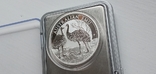 Cрібна монета Австралії 2019р. 1 долар., фото №3