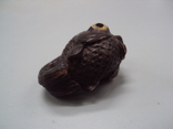 Netsuke figure, bone, mammoth tusk, miniature, fish, fish, carving, height: 3.3 cm, weight: 26.41 g, photo number 12