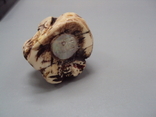 Figure netsuke bone mammoth tusk miniature japanese sage elder sitting 3.9 cm weight 15.98 g, photo number 12