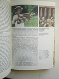Apiculture. Little encyclopedia., photo number 6