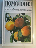 Apricot, peach, cherry plum. Pomology in 5 volumes. Volume 3., photo number 2