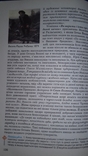 Українська література. 11 клас., фото №5
