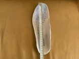 Кроссовки Lacoste, натуральная кожа, 23,5 см/37, numer zdjęcia 8