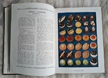 Книга Кондитера Lambet Method of Cake Decoration 1936 London, фото №10