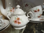 Antique tea and coffee set "Daisy", baroque, 10 pr, from Germany, new, photo number 4