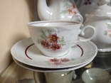 Antique tea and coffee set "Daisy", baroque, 10 pr, from Germany, new, photo number 5
