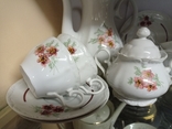 Antique tea and coffee set "Daisy", baroque, 10 pr, from Germany, new, photo number 6