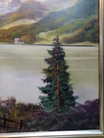 Ancient painting Swan Lake Karl Grafenauer, 80 x 60 cm, 1940, Germany., photo number 10