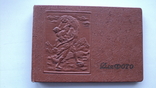 Album for photographs of 1954, embossing, excellent, photo number 2