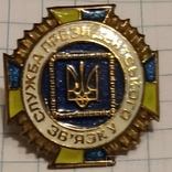 Значок pin пін (важкий метал) СПЗ - Служба Президентського Зв'язку - латунь - фарба - лак, фото №4