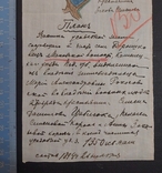 Схема, план садиби... 1894 р., фото №3