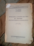 1930 Проблема строительства на Украине фарфорового комбината изд. " Укр Стекло Фарфор ", фото №2