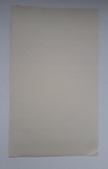 Ялта 1975 г., мода/голые тросы ярких представителей обеих полов - 17х11.5 см., фото №5