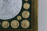 Розпис сувенірних монет, фото №10