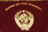 Velvet flag of the USSR, photo number 8