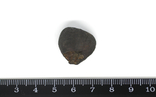 Кам'яний метеорит Челябінськ Chelyabinsk, 8,8 грам, із сертифікатом автентичності, фото №4