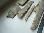 Fragments of mammoth tusk., photo number 3