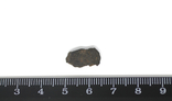 Кам'яний метеорит Челябінськ Chelyabinsk, 0,7 грам, із сертифікатом автентичності, фото №4