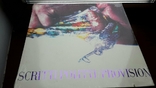 Пластинка Scritti Politti - Provision Производство США Альтернативный Рок, фото №3