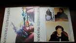 Пластинка Scritti Politti - Provision Производство США Альтернативный Рок, фото №4