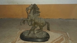  Скульптура Кінь Марлі19 ст., фото №9