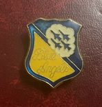 Badge of the elite air squadron of the US Army "Blue Angels", photo number 2