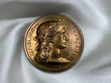 Медаль ліцеїста 19 століття Франція, фото №2