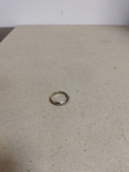 The Ring of Omnipotence, photo number 3