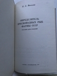 Determinant of freshwater fish fauna of the USSR. Moscow, 1977., photo number 4