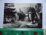 Закарпаття 1950-і рр Кобилецька Поляна турбаза, photo number 2