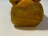 Olympic Bear, photo number 9